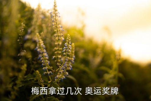 奧運(yùn)足球決賽2014