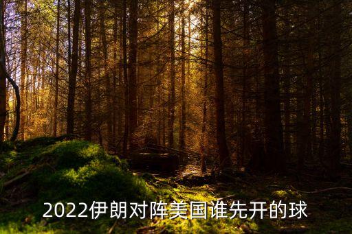 2022伊朗對(duì)陣美國誰先開的球