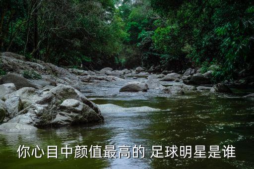 你心目中顏值最高的 足球明星是誰(shuí)
