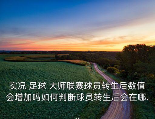 足球大師國家隊加成