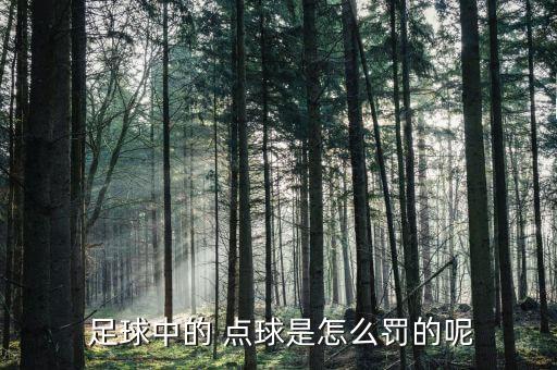 足球點球技術(shù),足球什么時候罰點球