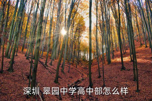 深圳 翠園中學高中部怎么樣