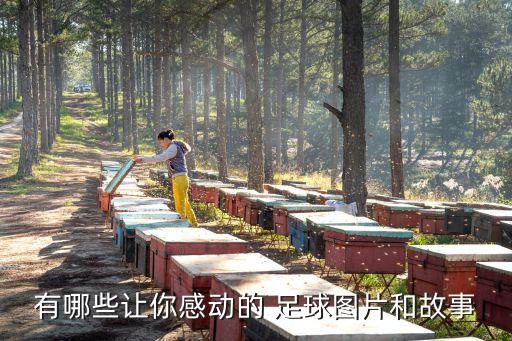 有哪些讓你感動(dòng)的 足球圖片和故事