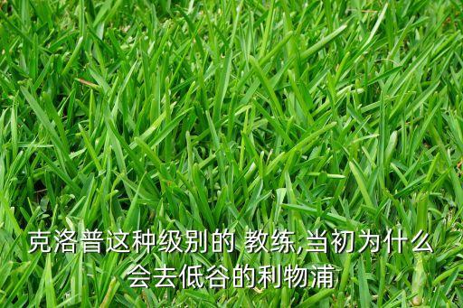 德國足球教練素質低,重生在德國當足球教練的小說