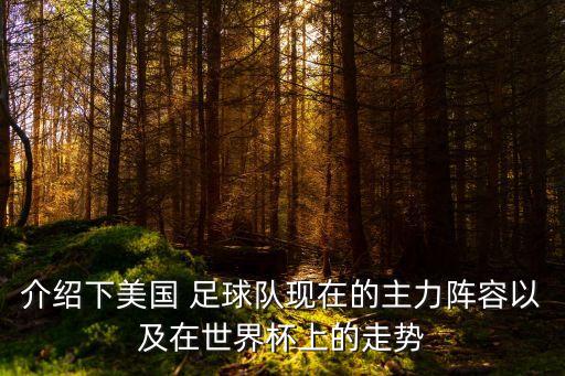 介紹下美國 足球隊(duì)現(xiàn)在的主力陣容以及在世界杯上的走勢(shì)