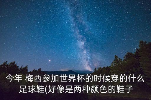 今年 梅西參加世界杯的時候穿的什么 足球鞋(好像是兩種顏色的鞋子