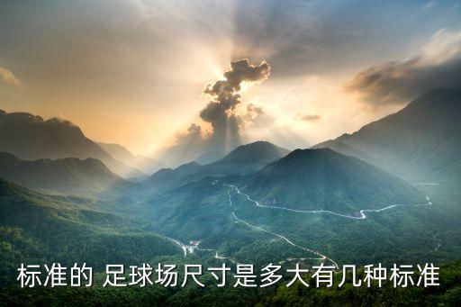 標準的 足球場尺寸是多大有幾種標準