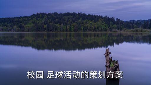 校園 足球活動(dòng)的策劃方案