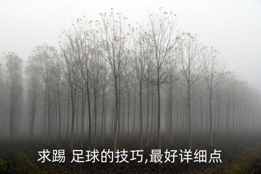 求踢 足球的技巧,最好詳細(xì)點
