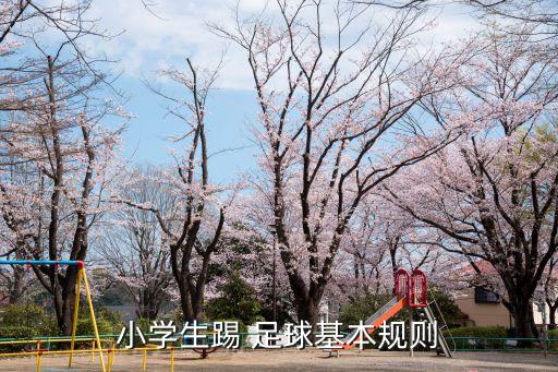 小學生踢 足球基本規(guī)則