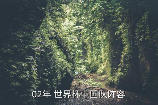 02年 世界杯中國隊(duì)陣容