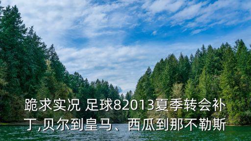 跪求實(shí)況 足球82013夏季轉(zhuǎn)會(huì)補(bǔ)丁,貝爾到皇馬、西瓜到那不勒斯