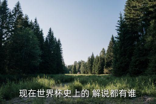 老足球解說 英超,我在英超當(dāng)CEO[足球]