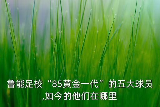 魯能足?！?5黃金一代”的五大球員,如今的他們在哪里