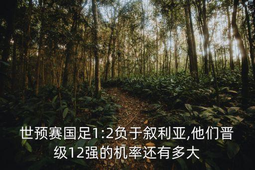 世預賽國足1:2負于敘利亞,他們晉級12強的機率還有多大