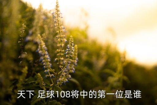 天下足球 卡西利亞斯,卡西利亞斯是哪個國家的足球運動員