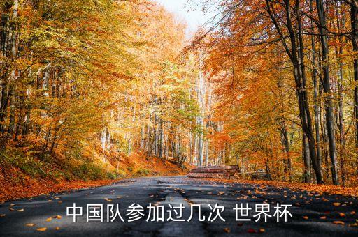 中國辦足球世界杯,辦足球世界杯誰說了算?