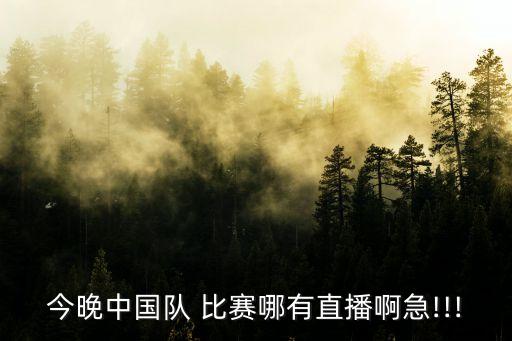 今晚中國隊(duì) 比賽哪有直播啊急!!!