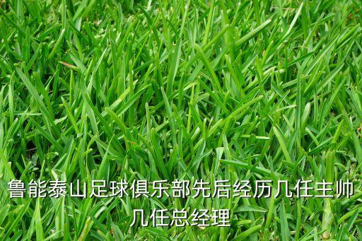 濟(jì)南有沒有職業(yè)足球隊,安徽有沒有職業(yè)足球隊