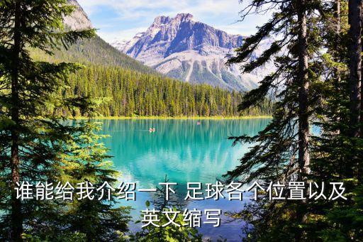 誰能給我介紹一下 足球各個(gè)位置以及英文縮寫