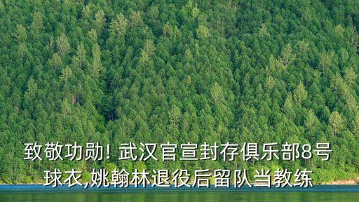 致敬功勛! 武漢官宣封存俱樂部8號球衣,姚翰林退役后留隊當教練