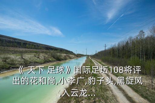 《 天下 足球》國際足壇108將評(píng)出的花和尚,小李廣,豹子頭,黑旋風(fēng),入云龍...