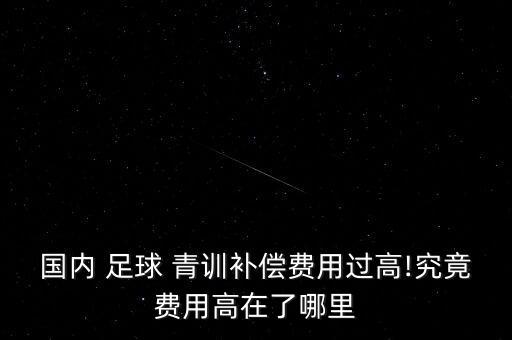 國內(nèi) 足球 青訓(xùn)補(bǔ)償費(fèi)用過高!究竟費(fèi)用高在了哪里