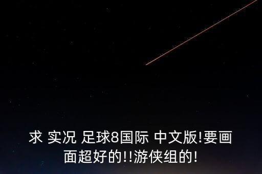 求 實(shí)況 足球8國際 中文版!要畫面超好的!!游俠組的!