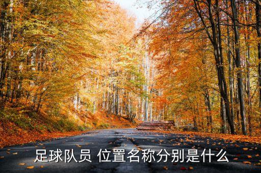  足球隊(duì)員 位置名稱分別是什么