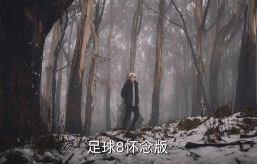 實況足球8懷念版