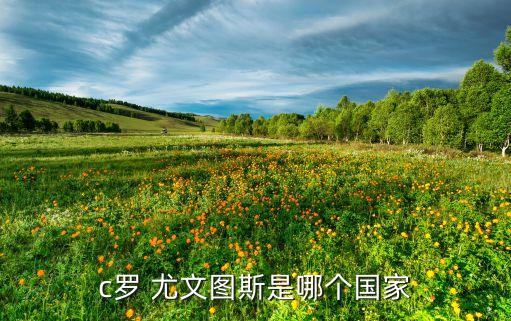 曼聯(lián) 皇馬 尤文足球俱樂部