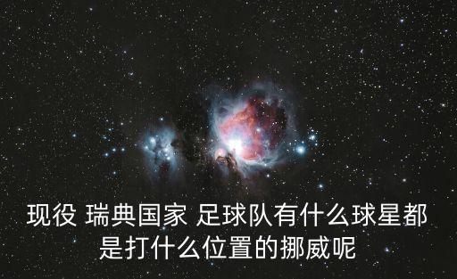 現(xiàn)役 瑞典國(guó)家 足球隊(duì)有什么球星都是打什么位置的挪威呢