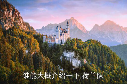 誰(shuí)能大概介紹一下 荷蘭隊(duì)
