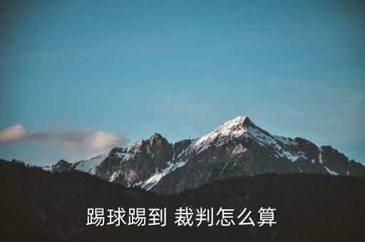 足球裁判把球踢進了