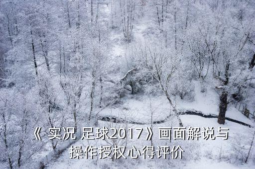 《 實(shí)況 足球2017》畫(huà)面解說(shuō)與操作授權(quán)心得評(píng)價(jià)