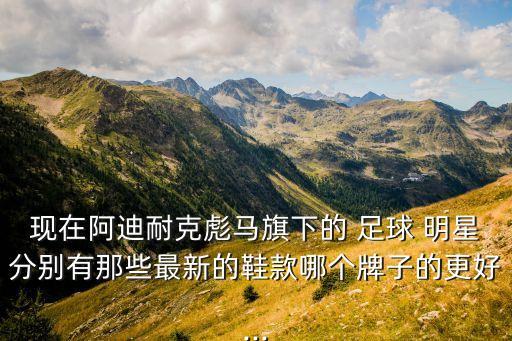 現(xiàn)在阿迪耐克彪馬旗下的 足球 明星分別有那些最新的鞋款哪個牌子的更好...