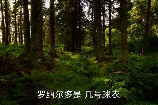 曼聯(lián)足球隊(duì)長(zhǎng) 幾號(hào)