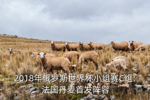 2018年俄羅斯世界杯小組賽C組: 法國(guó)丹麥?zhǔn)装l(fā)陣容