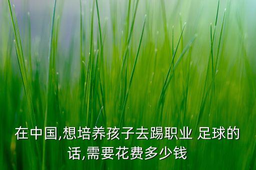 在中國(guó),想培養(yǎng)孩子去踢職業(yè) 足球的話(huà),需要花費(fèi)多少錢(qián)