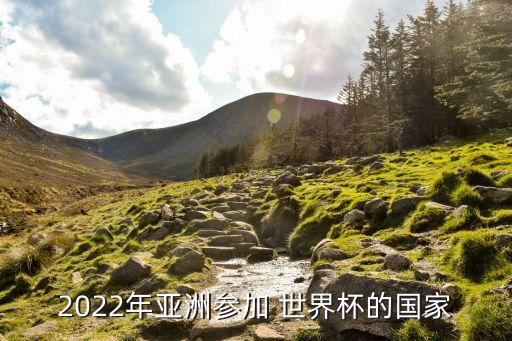 沙特阿拉伯足球隊參加過幾次世界杯