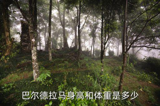 金毛獅王足球巴西,哥倫比亞足球運(yùn)動(dòng)員金毛獅王