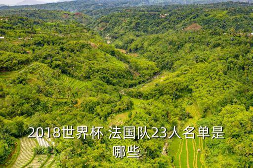 2018世界杯 法國(guó)隊(duì)23人名單是哪些