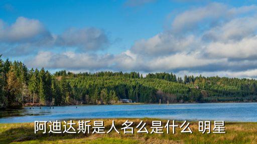  阿迪達(dá)斯是人名么是什么 明星