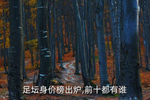 2018足球運動員年薪排行榜,中超本土球員年薪排行榜2018