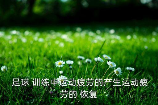  足球 訓練中運動疲勞的產生運動疲勞的 恢復