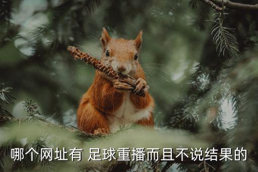 哪個(gè)網(wǎng)址有 足球重播而且不說結(jié)果的