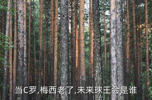 當C羅,梅西老了,未來球王會是誰