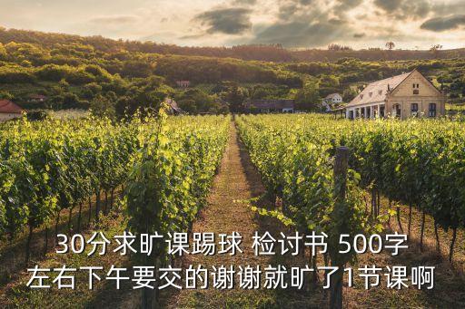 足球打架檢討書500字,學(xué)校打架檢討書500字反省自己