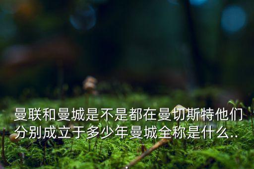 曼聯(lián)足球隊標(biāo)志,英國曼聯(lián)足球隊