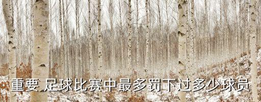 重要 足球比賽中最多罰下過多少球員